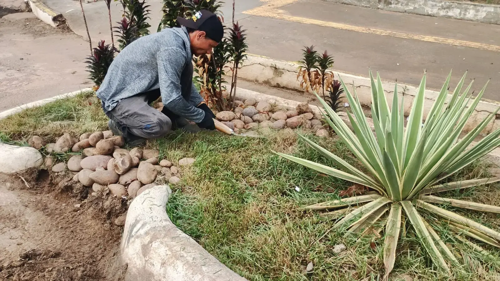 Prefeitura de Porto Velho inicia manutenção periódica em jardins de chuva
