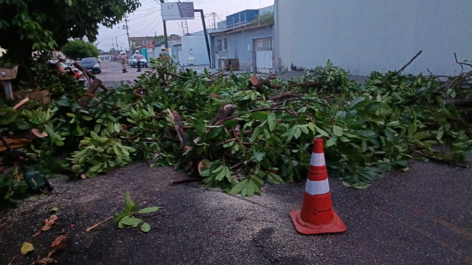 Sema mantém equipes de prontidão para atender ocorrências provocadas por tempestades, garantindo segurança e preservação ambiental