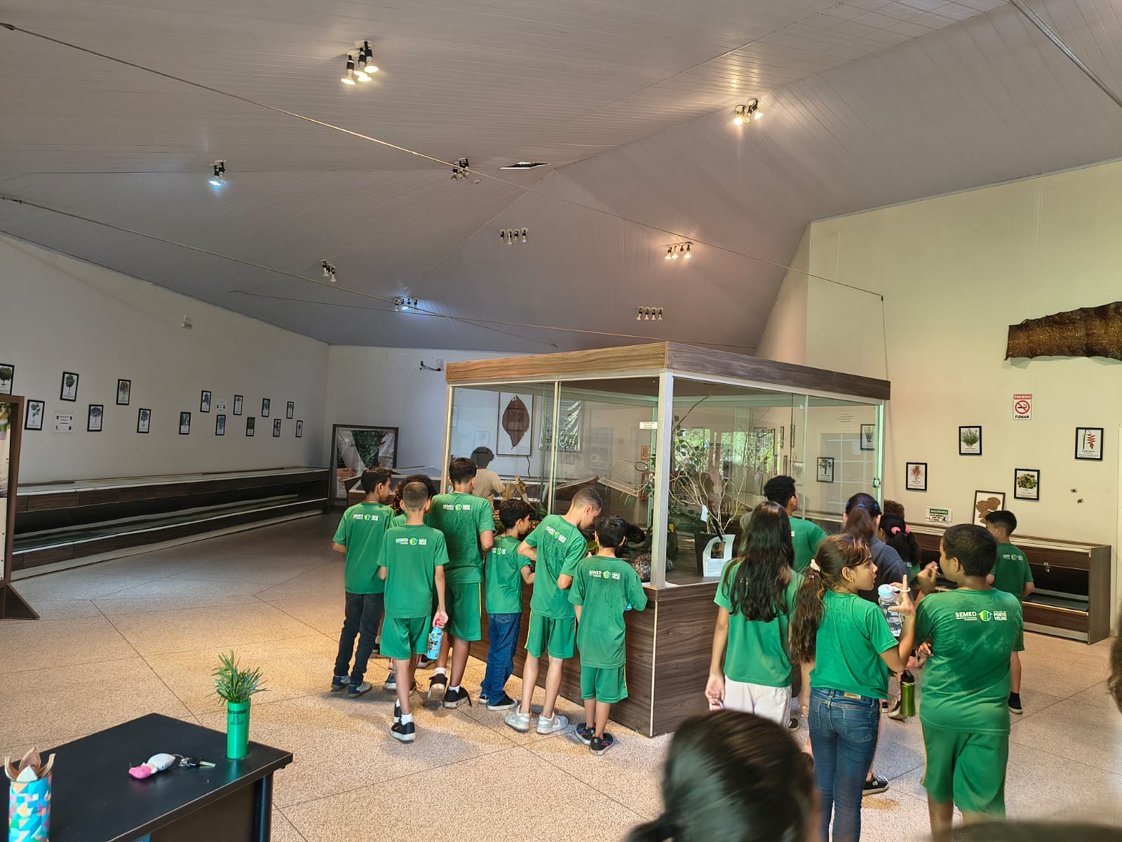 atividades aproximam os alunos da biodiversidade amazônica e incentivam práticas de preservação ambiental no dia a dia