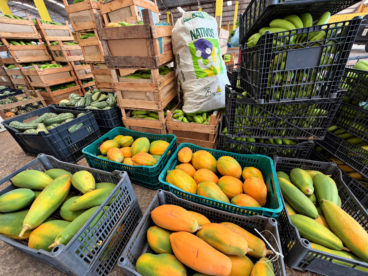 A prefeitura de Porto Velho segue fortalecendo ações que são voltadas aos agricultores