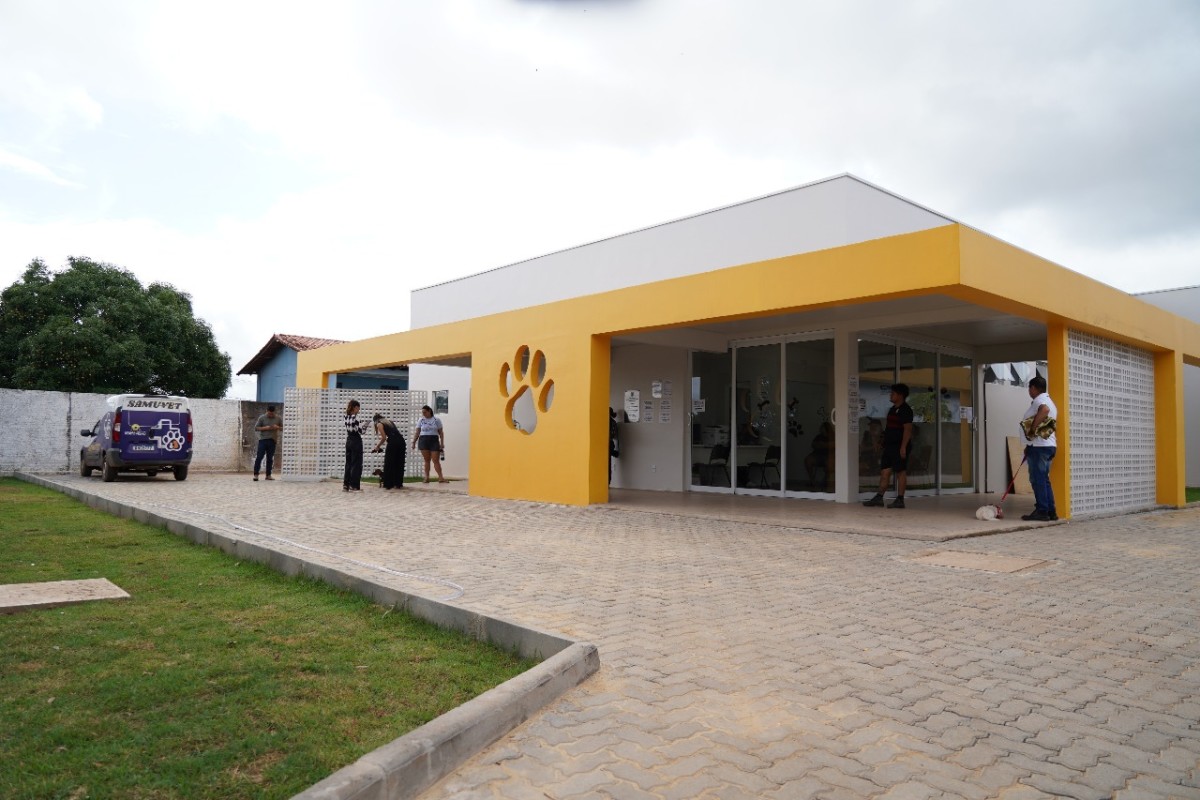 Proteção animal em Porto Velho conta com a parceria entre Prefeitura e sociedade civil