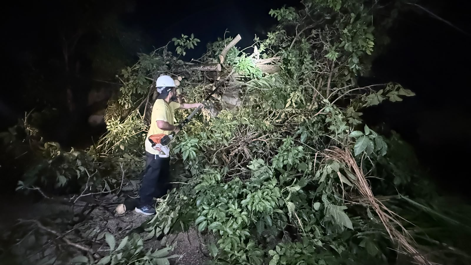 Em dias de chuva, a orientação é reduzir a velocidade, usar farol baixo e evitar áreas de risco