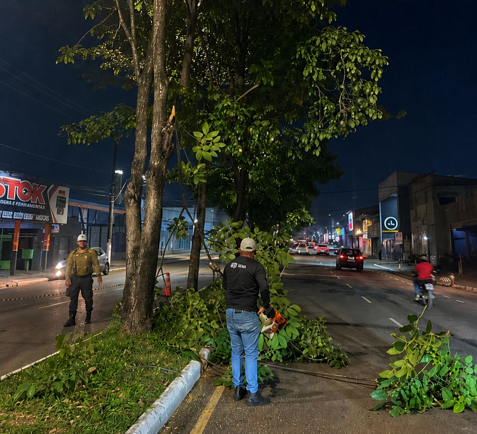 ZELADORIA - Ação integrada de poda noturna melhora segurança e iluminação nas principais vias da capital