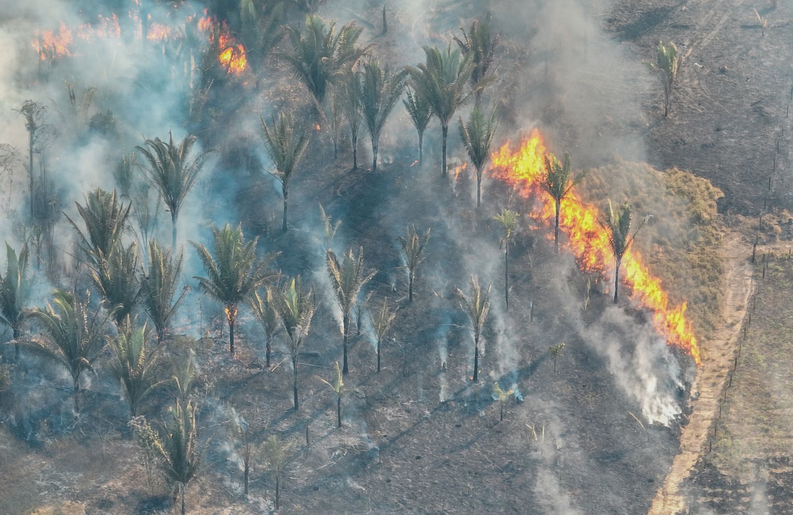 ESTIAGEM - Fenômeno natural El Niño aumenta risco de queimadas durante a estiagem em Porto Velho