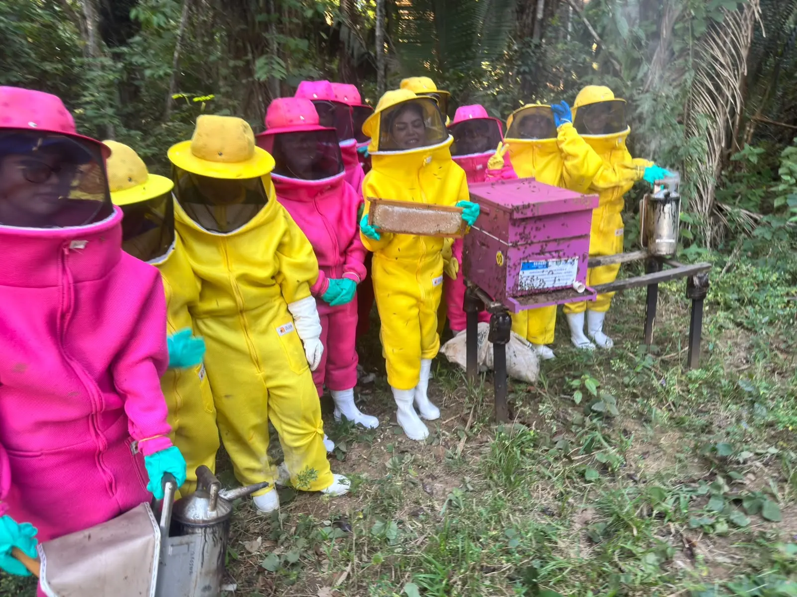 EDUCAÇÃO - Visita técnica aproxima acadêmicos da prática da apicultura e meliponicultura em propriedades rurais