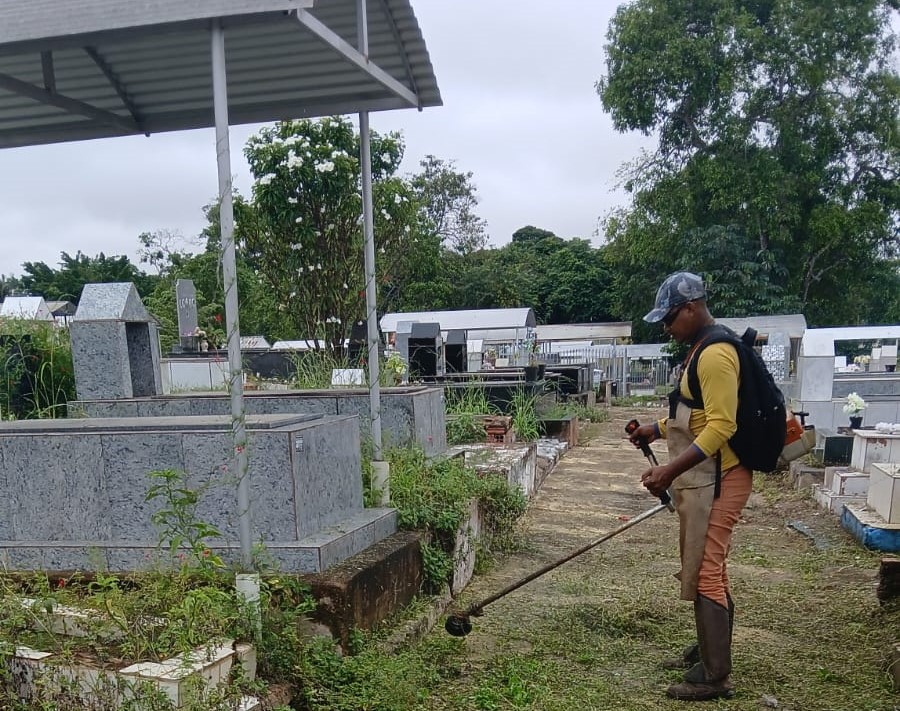 Limpeza dos túmulos deve ser realizada pelos familiares
