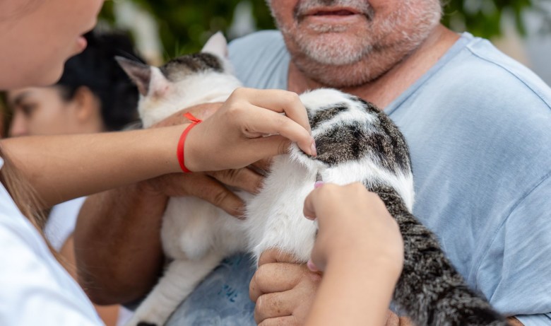 Semusa oferece vacinação a domicílio para quem possuem mais de dez animais no mesmo local