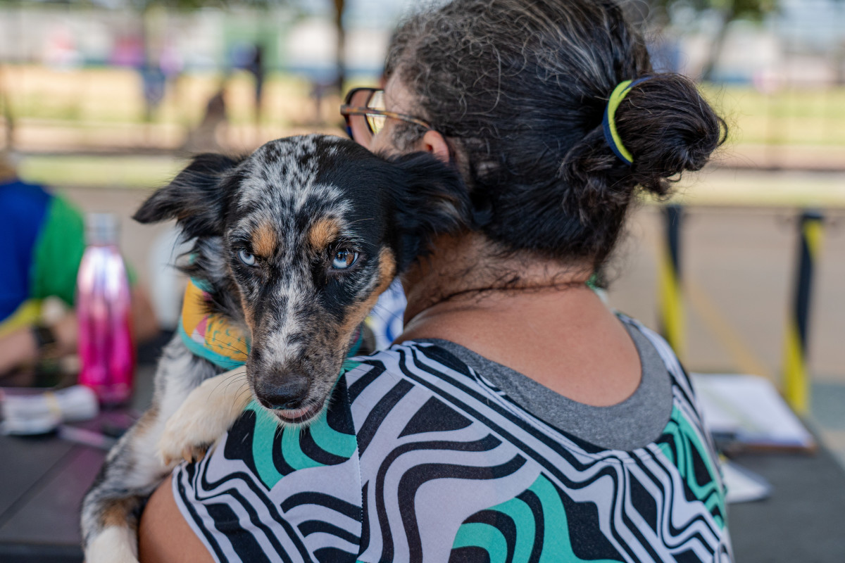 Agendamento on-line estará disponível no site oficial do programa, a partir do dia 21 de abril