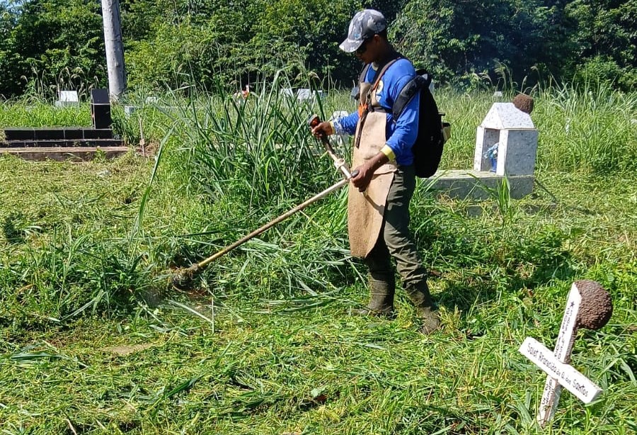 Período chuvoso proporciona o crescimento muito rápido da vegetação
