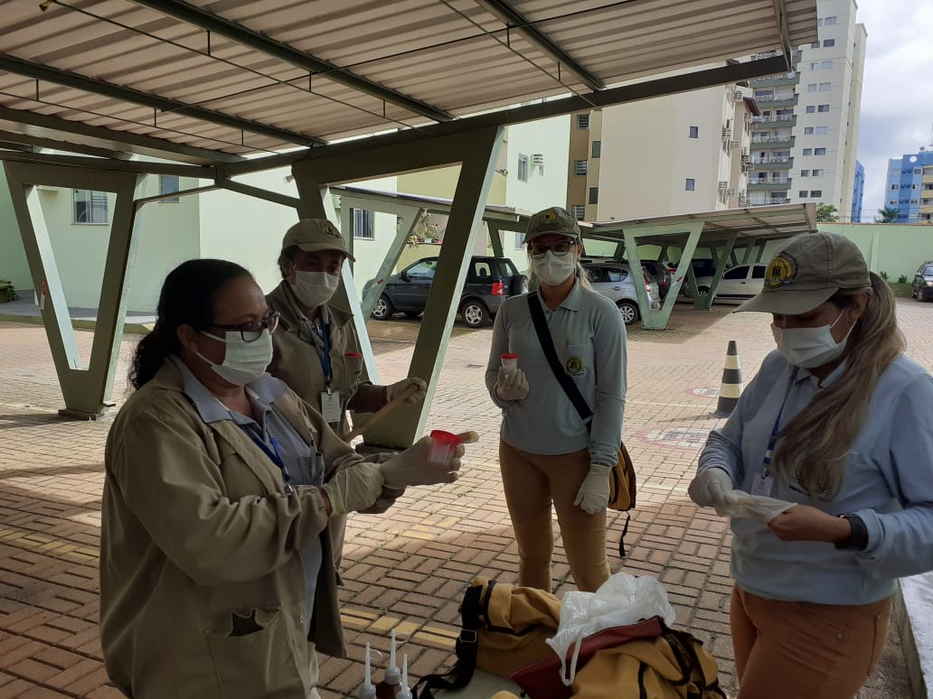 Caso o cidadão encontre um inseto suspeito, deve entrar em contato com a Semusa 