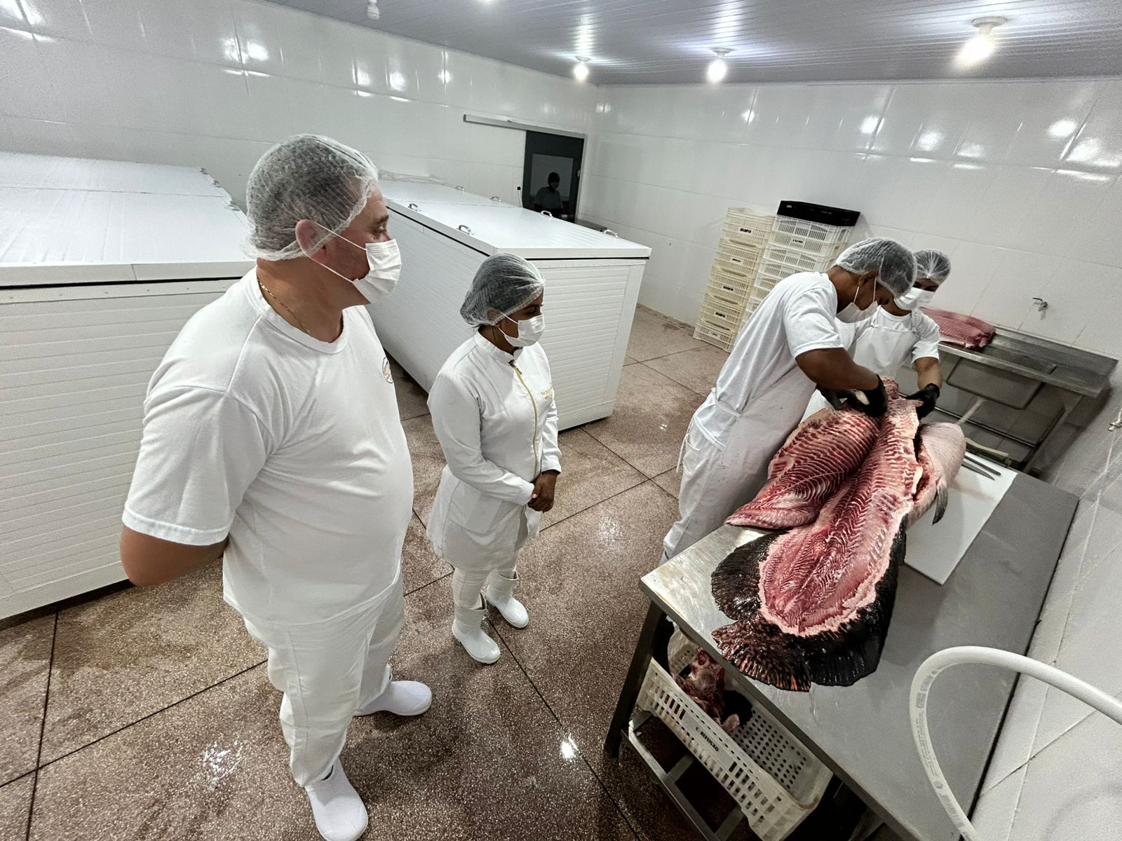 Agroindústria Pescado Rei do Pirarucu, beneficia peixes com cortes nobres de pirarucu e tambaqui