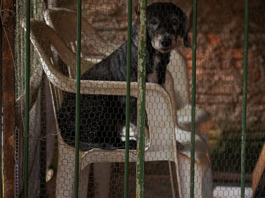 Determinação é de que todas as denúncias recebam a devida atenção