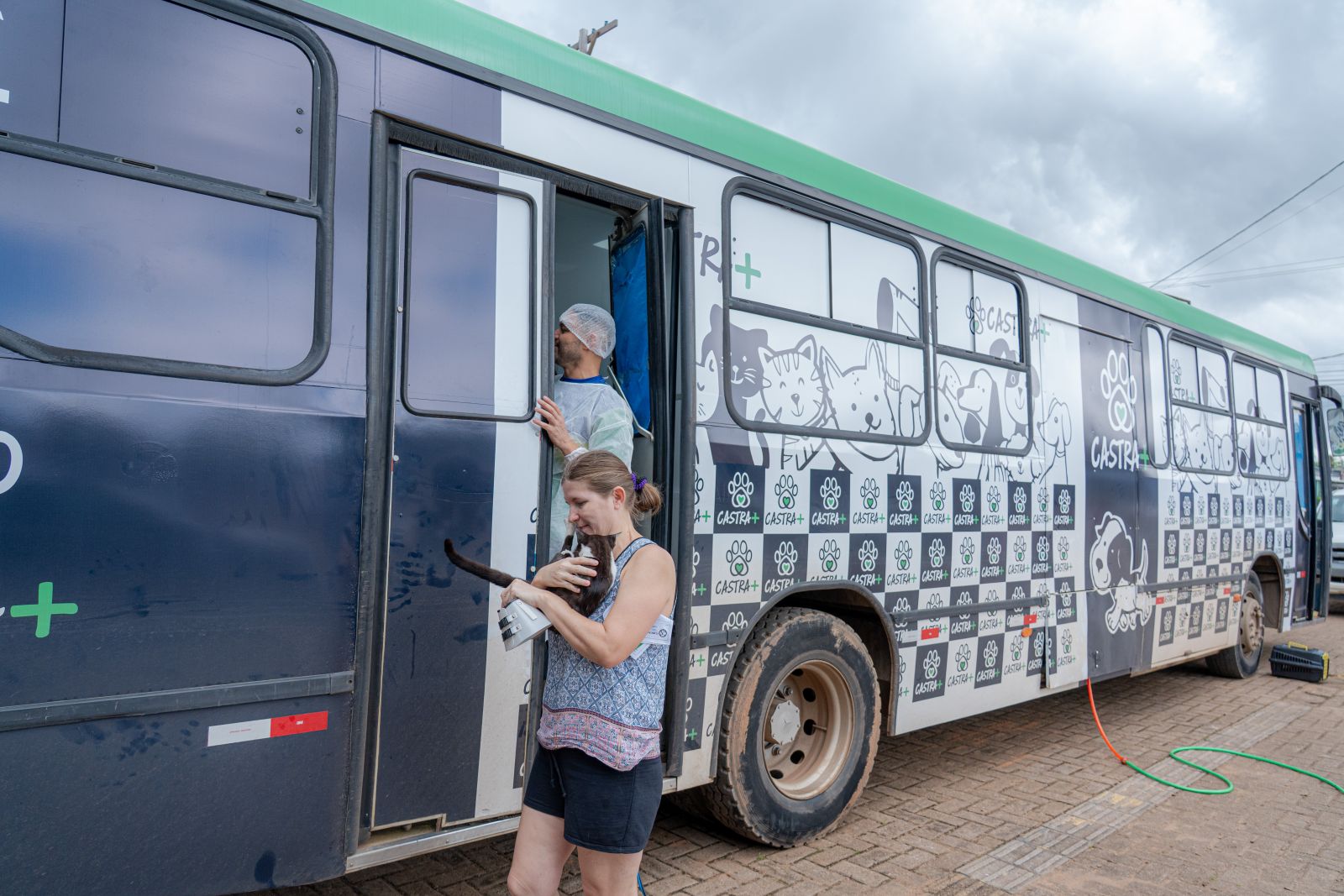 Procedimentos são feitos em um ônibus equipado e preparado para as castrações