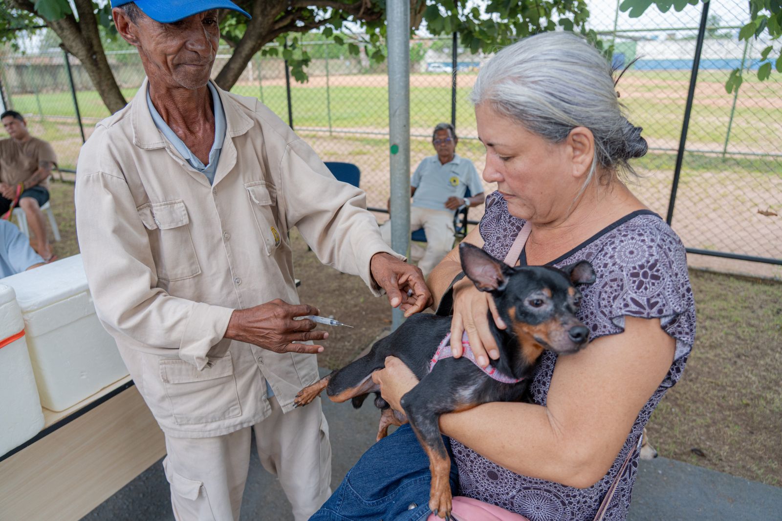 Nilda Aparecida levou quatro animais para tomarem vacina