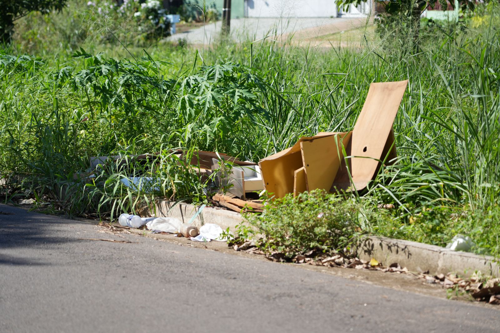 Projeção é de que mais de 1.500 notificações sejam emitidas até o final de 2025