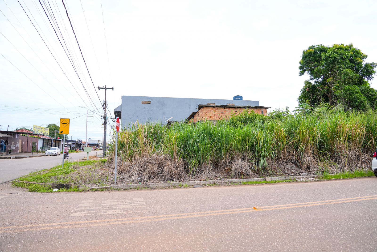 Terrenos baldios tomados por matagal, lixo e entulhos representam risco para a saúde