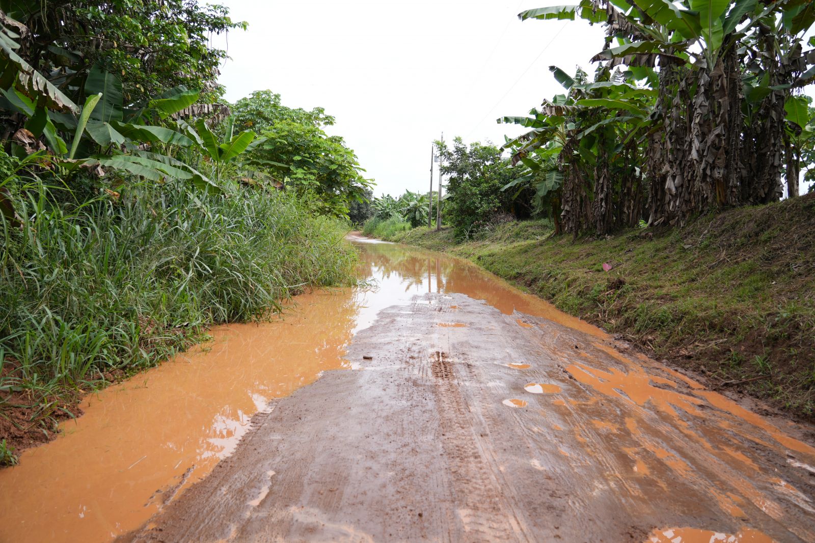 No ramal Maravilha, o acesso por terra já começa a ser comprometido