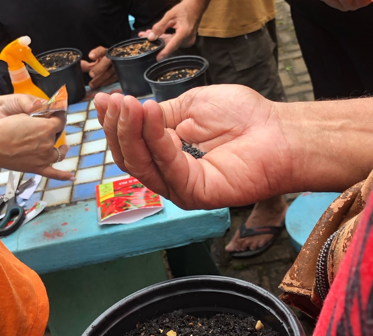 Iniciativa está alinhada à legislação para a criação de hortas comunitárias e a compostagem em Porto Velho