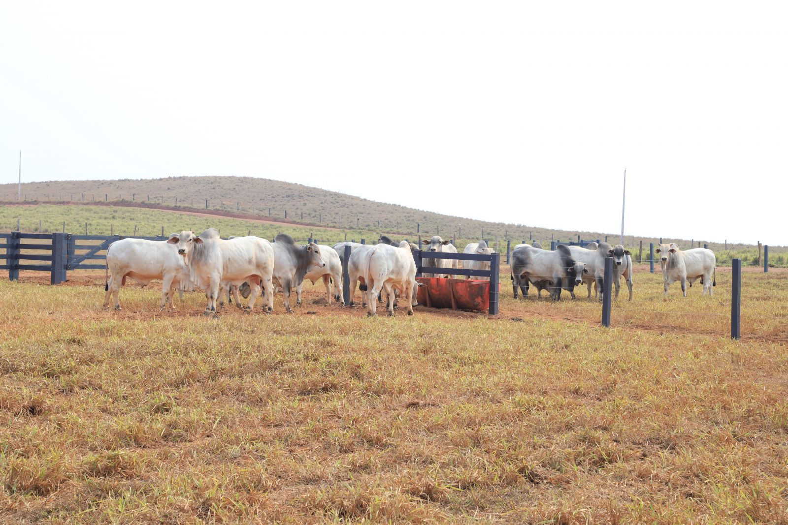 Semec orienta que os contribuintes não deixem para a última hora a fim de evitar contratempos