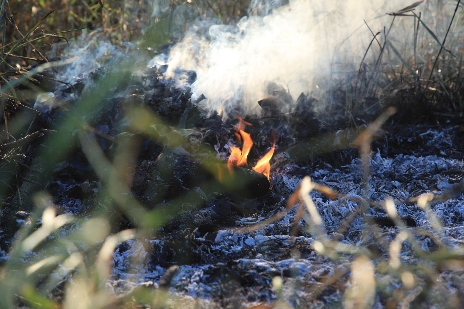 Ação visa a contenção dos graves problemas ocasionados por conta das queimadas indevidas