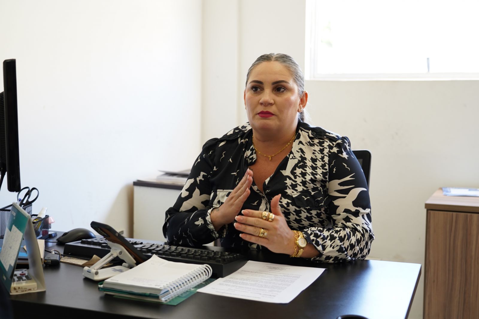 Programa oferece linhas de crédito acessíveis à micro e pequenos empresários, explicou Jaqueline Rego, 