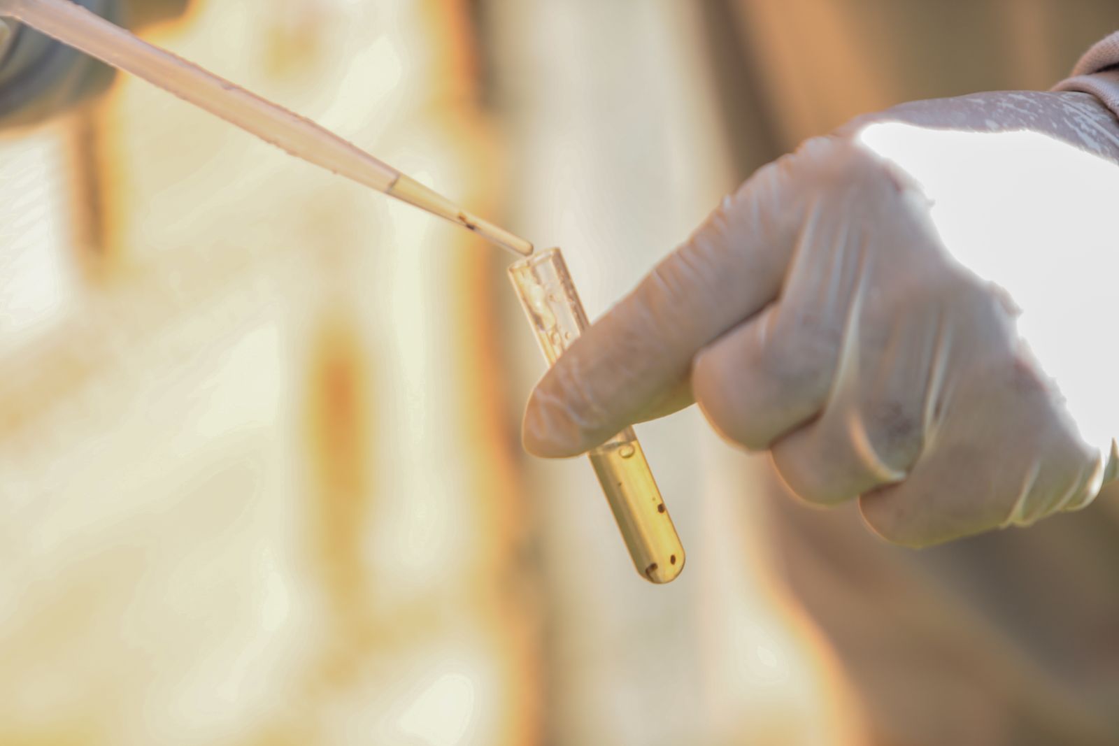 A prevenção ainda é a principal aliada na luta contra a doença