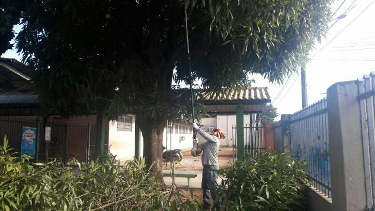 De janeiro a maio de 2025, já foram realizadas 185 podas de adequação