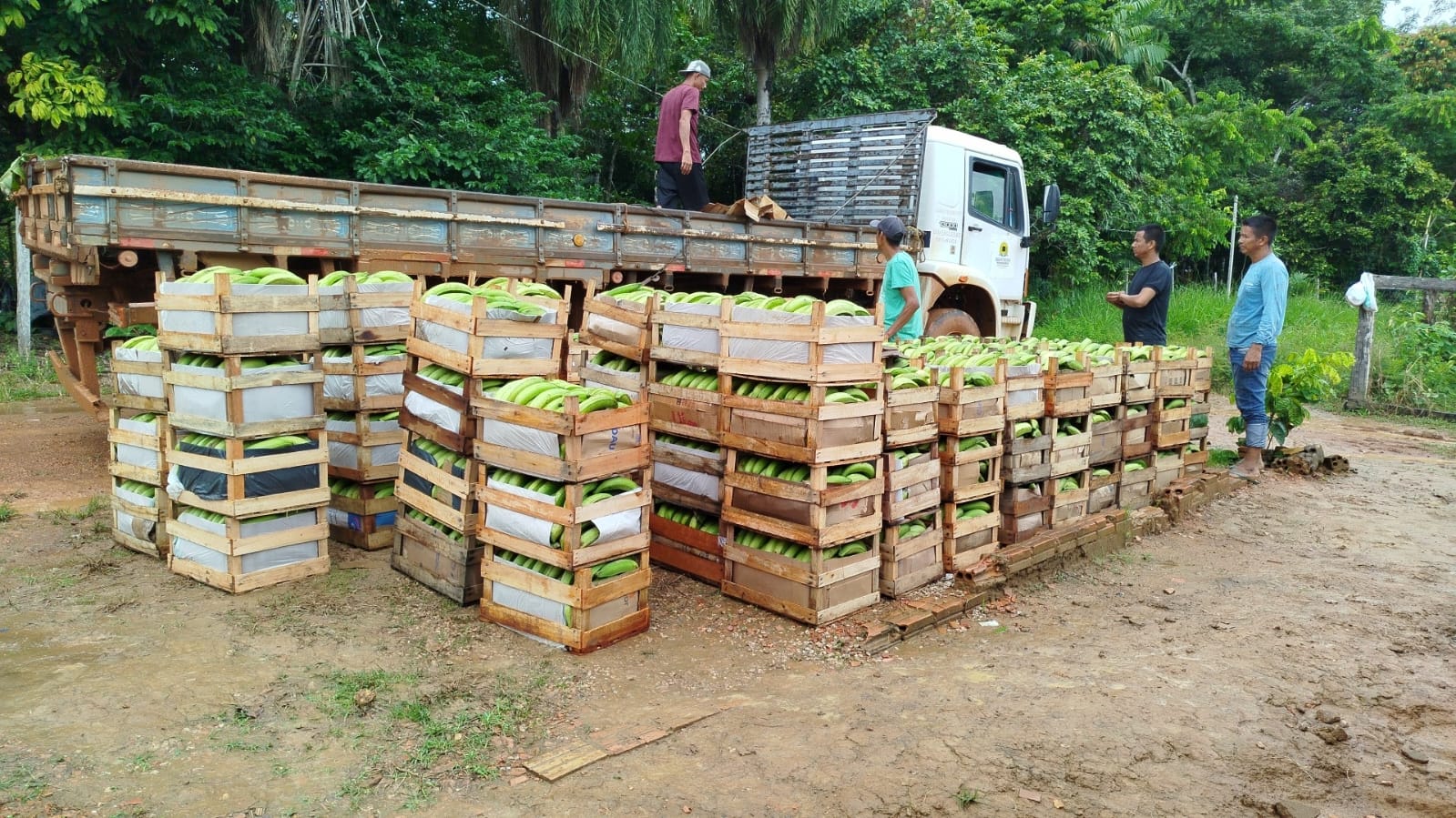  Programa de Transporte da Produção da Agricultura Familiar tem facilitado o deslocamento dos produtores até os mercados da capital