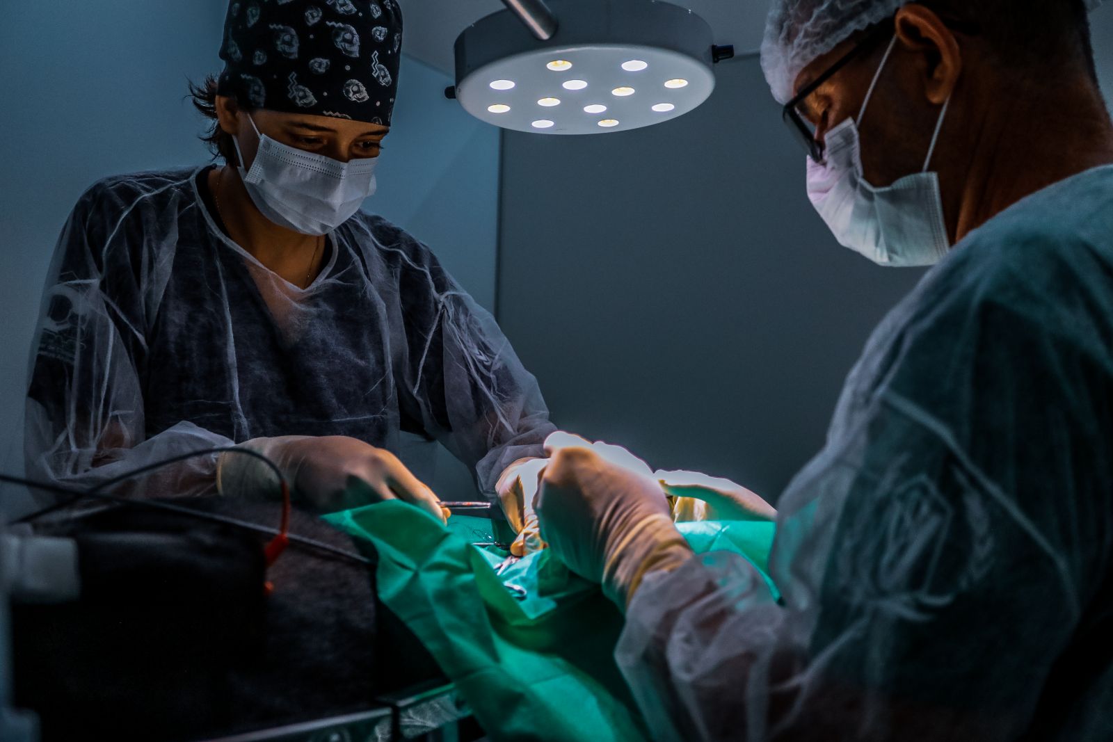 Processo seletivo visa a contratação de entidade qualificada para atuar em projetos e ações voltadas à saúde animal