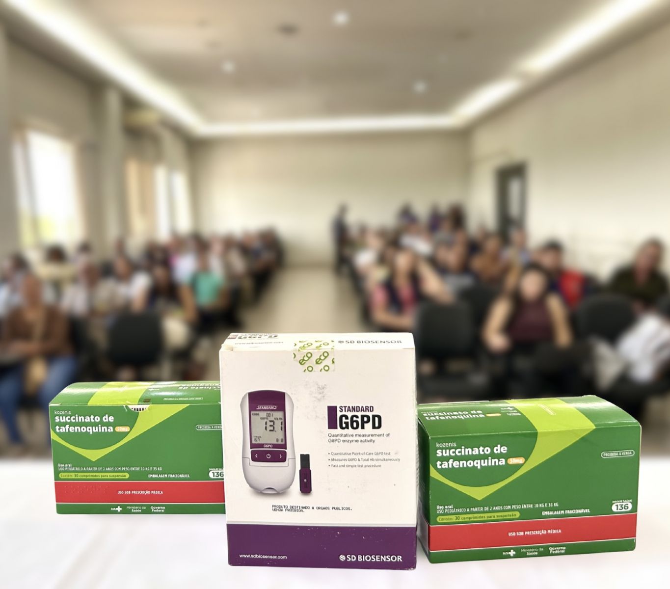 A iniciativa integra a estratégia nacional de eliminação da malária como problema de saúde pública até 2035