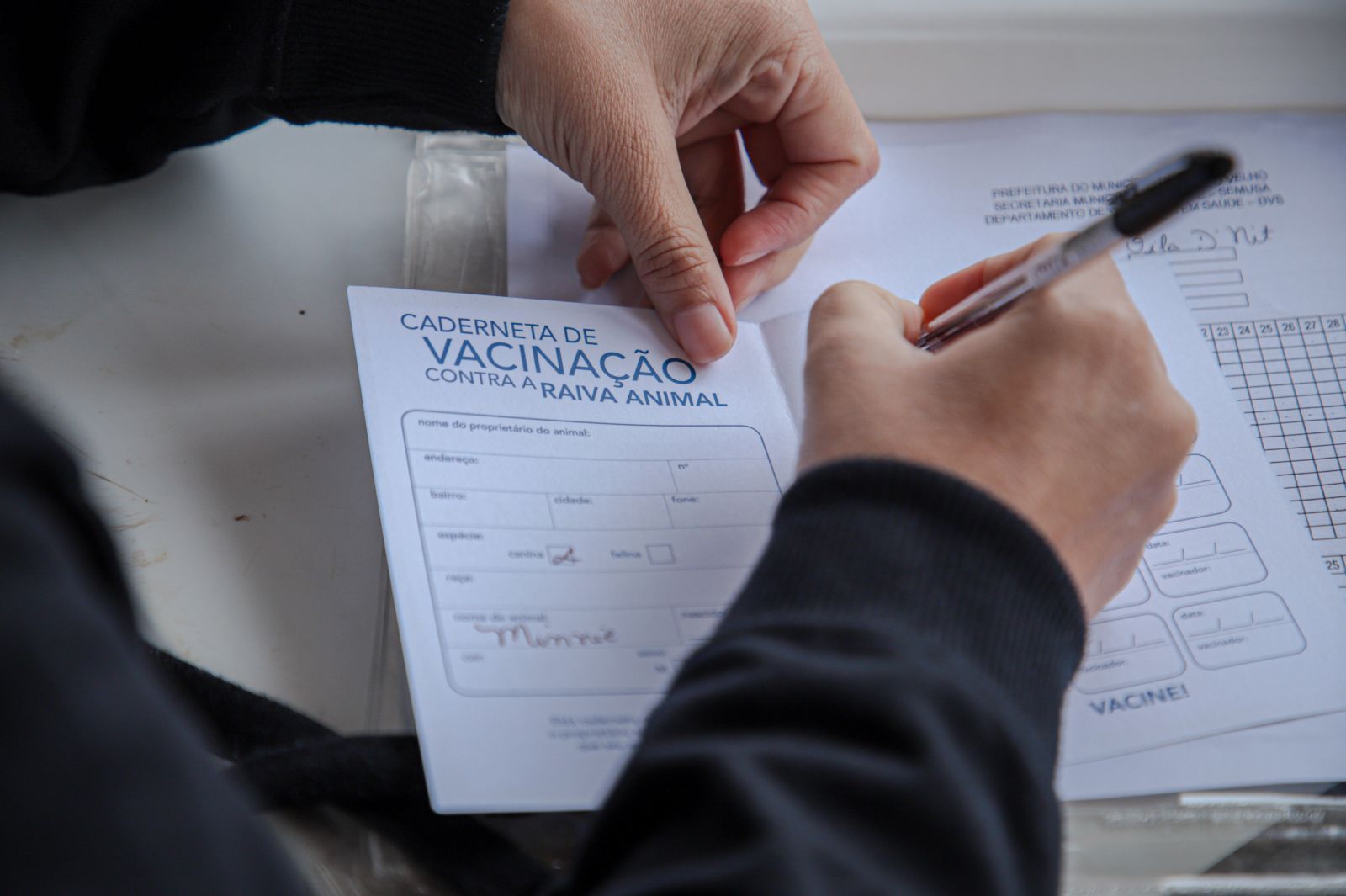 Vacinação contra a raiva em cães e gatos é oferecida pela Prefeitura durante todo o ano