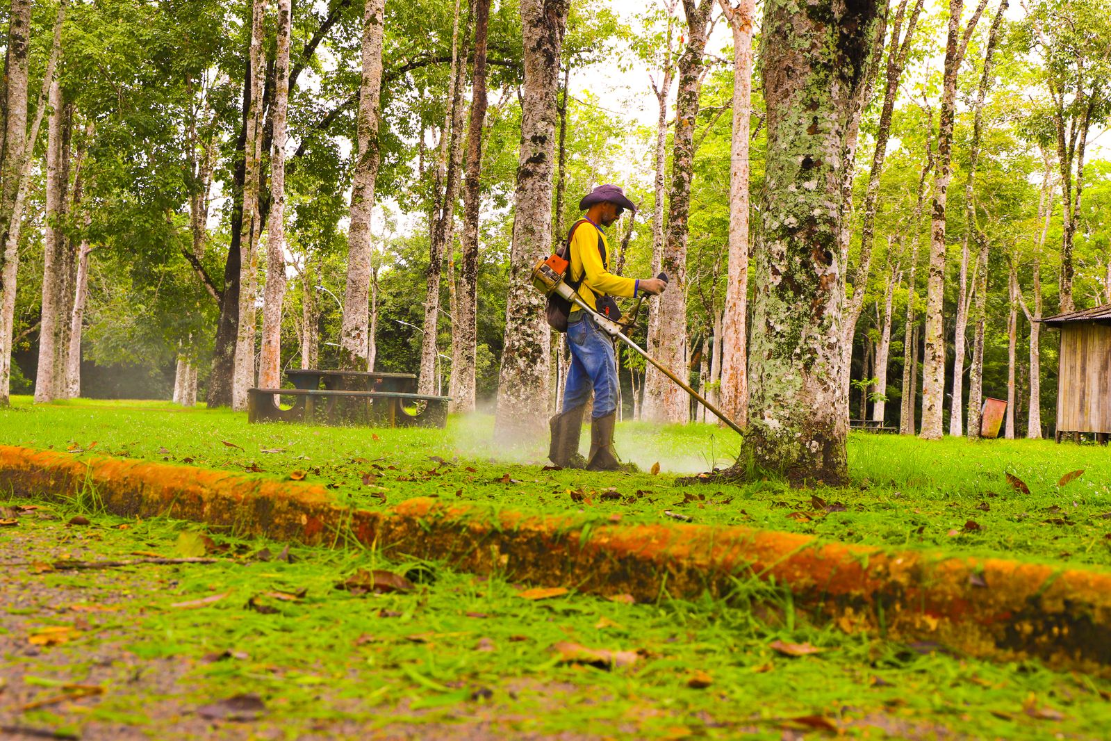 Iniciativa visa melhorias na conservação do espaço e proporcionar um ambiente mais seguro e agradável