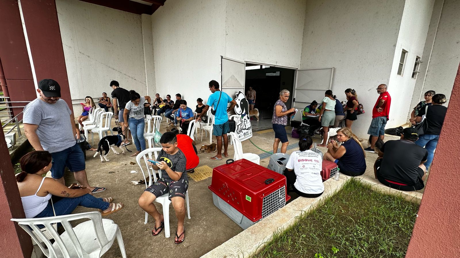 Tutor pode comparecer até sábado, sem o animal, caso falte algum responsável, poderá ser encaixado 