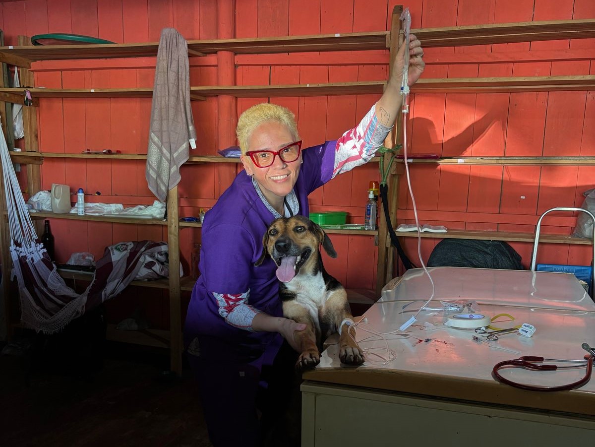 De acordo com a médica veterinária Natália Macedo, até esta data, houve mais de 200 vacinações de cães e gato