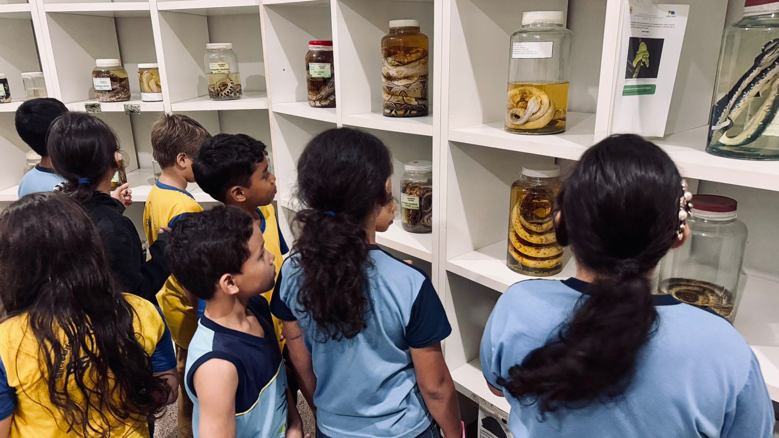 Logo na chegada, os estudantes foram recebidos no Museu Natural