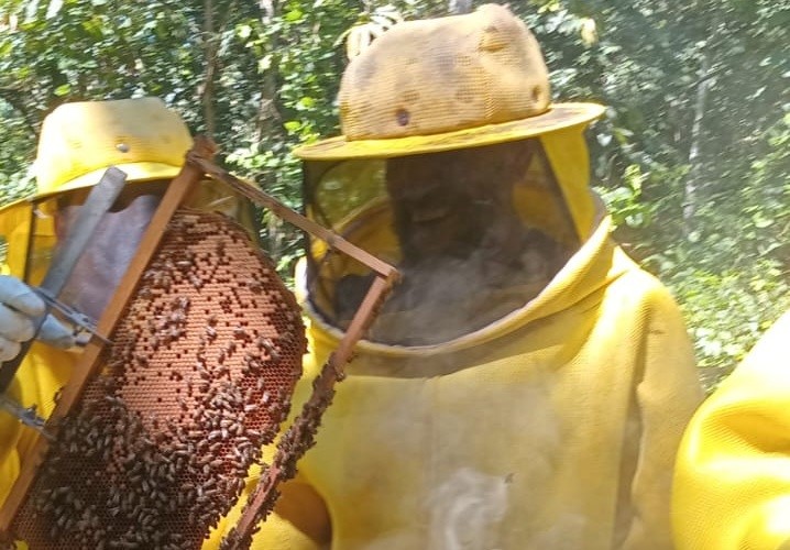 Oficina é uma parceria entre a Prefeitura de Porto Velho e a Agrotropical Amazônia