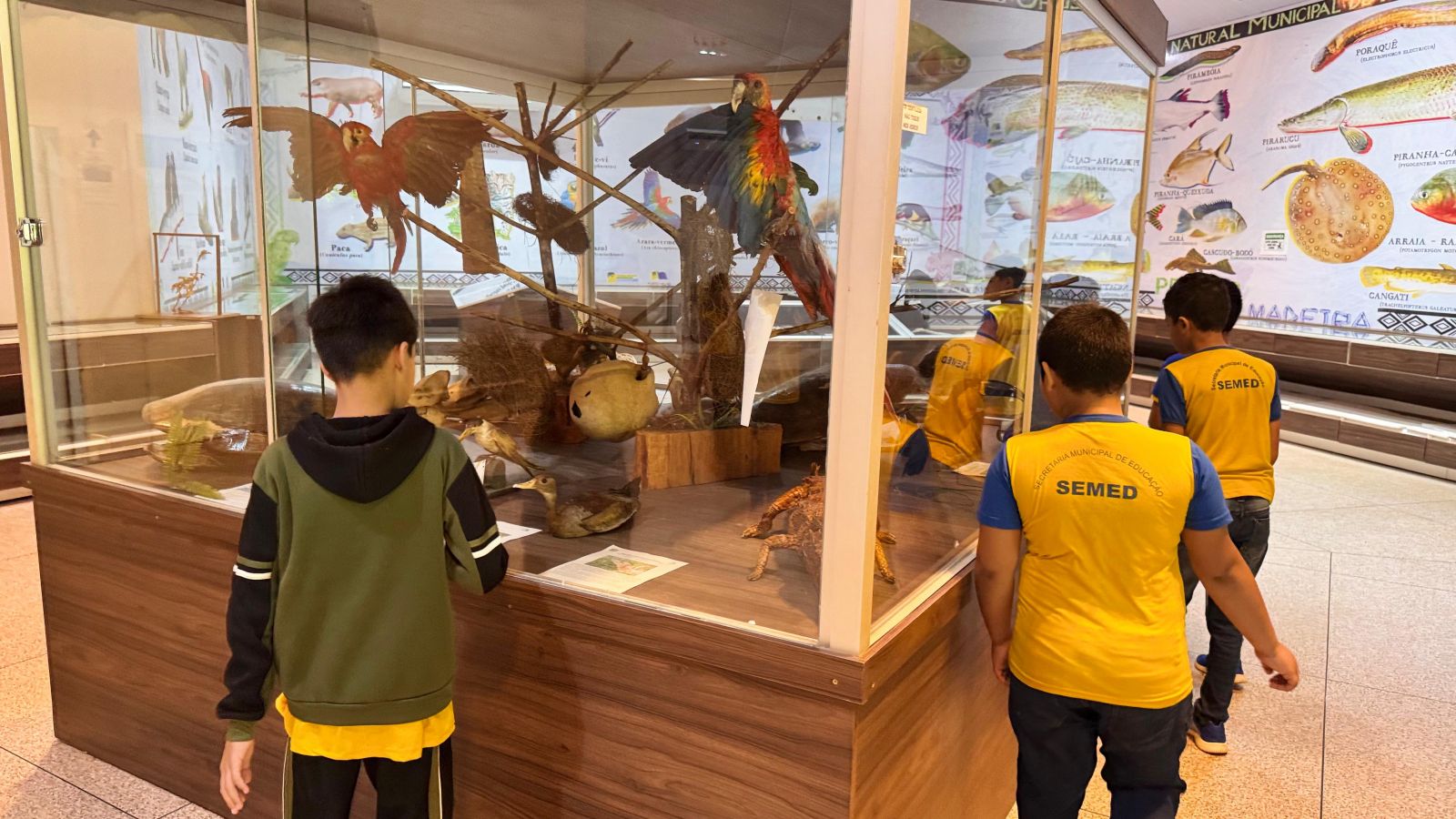 Atividade foi destinada aos alunos do 5º ano