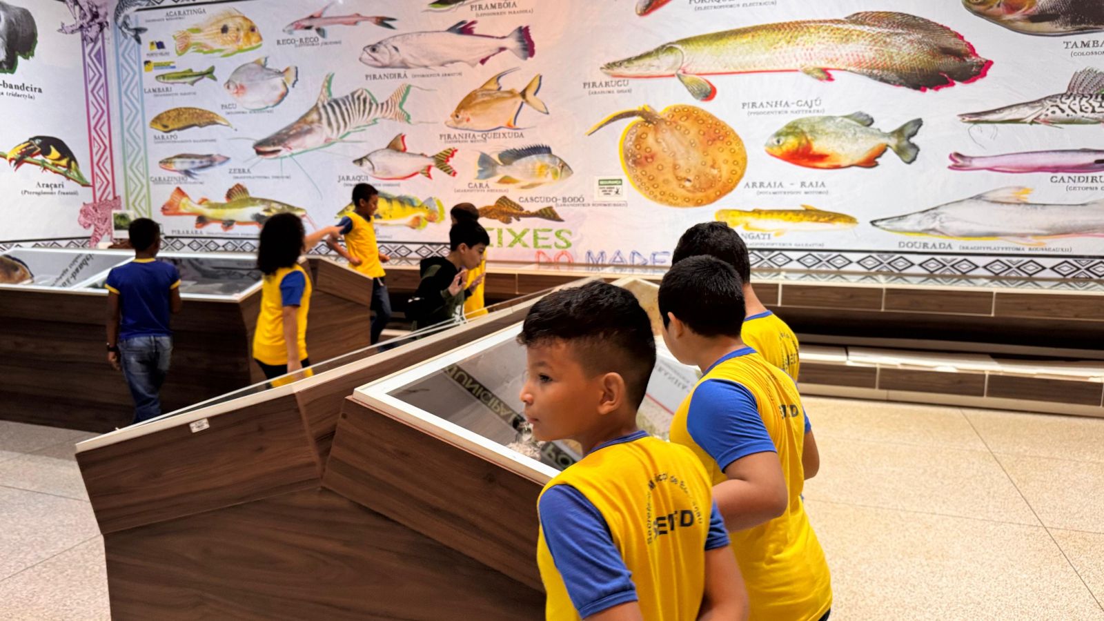 Experiência proporcionou uma observação direta dos impactos das ações humanas sobre o meio ambiente