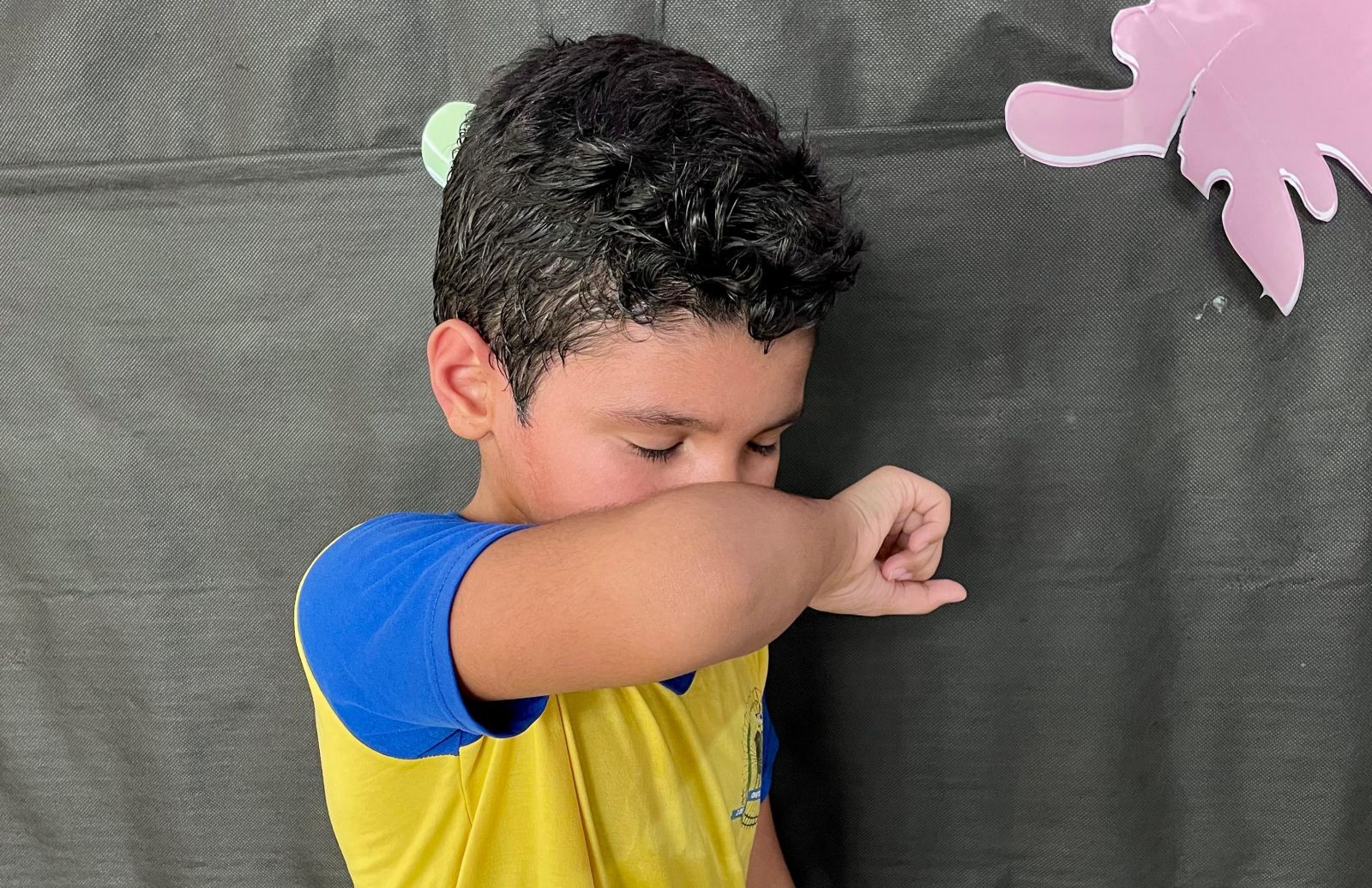 Viroses podem ser provocadas por diferentes tipos de vírus