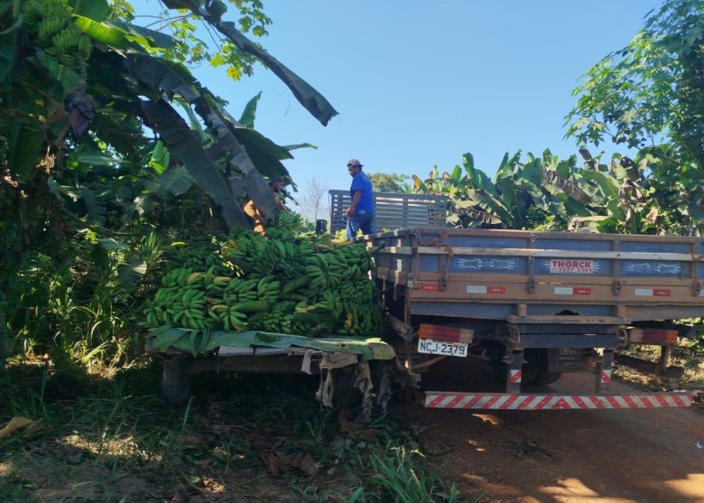 Ação visa mapear as propriedades rurais da capital 