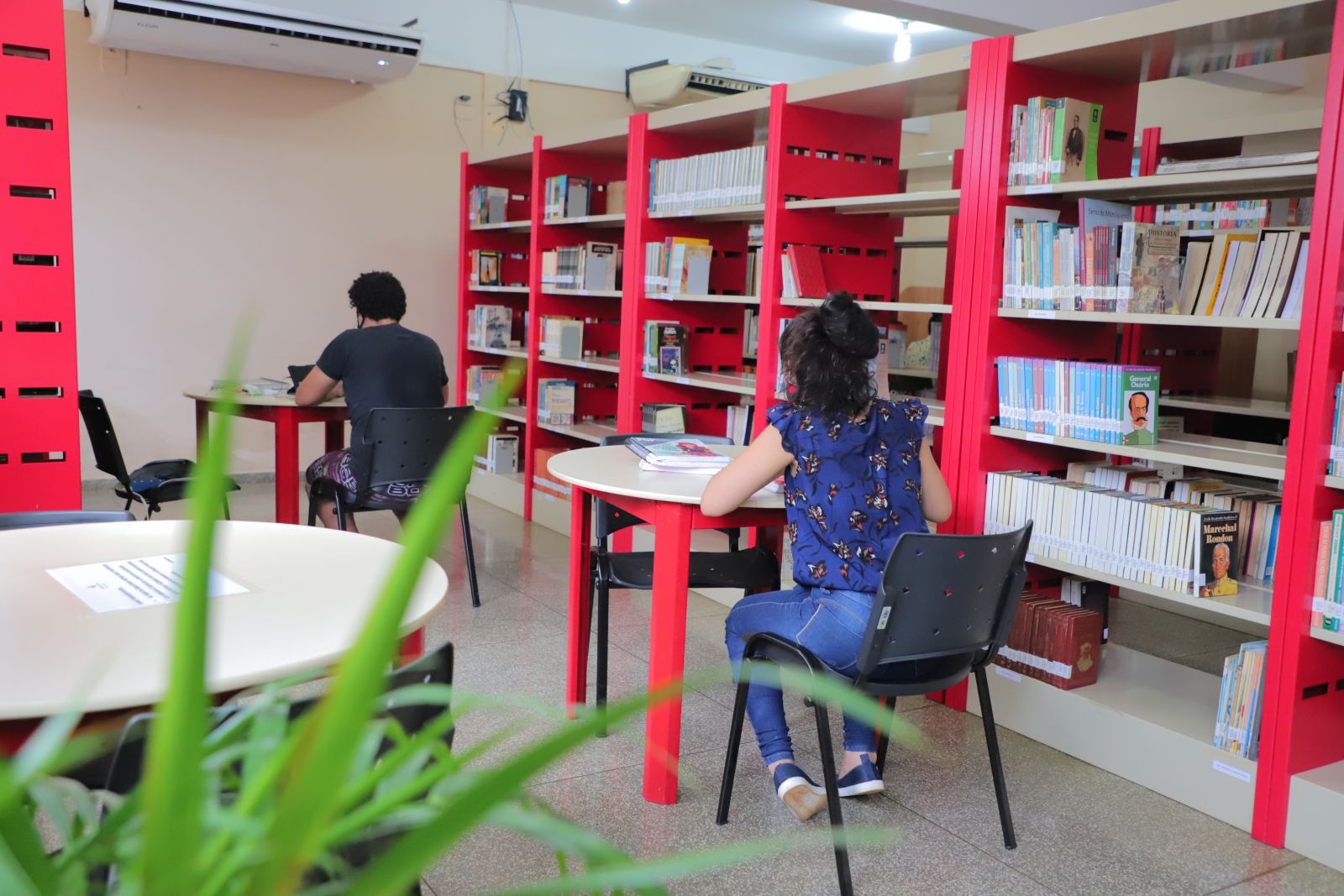 Biblioteca Municipal Viveiro das Letras conta com um ambiente acolhedor e acessível 