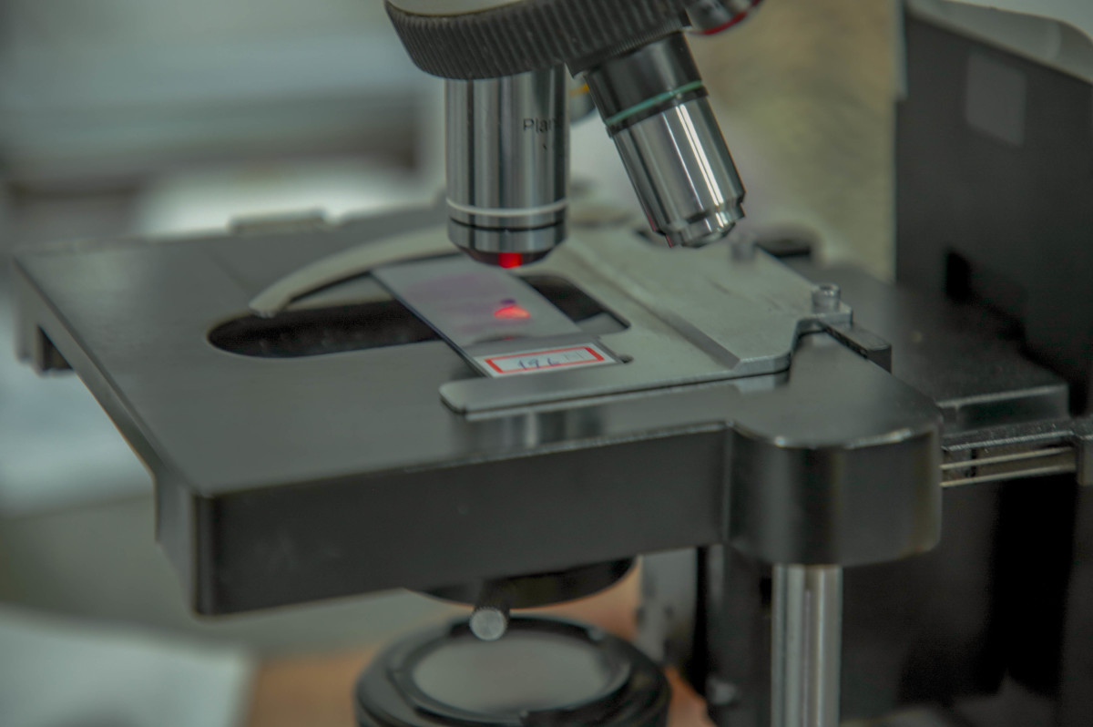 Porto Velho registrou uma redução de 30,07% nos casos de malária